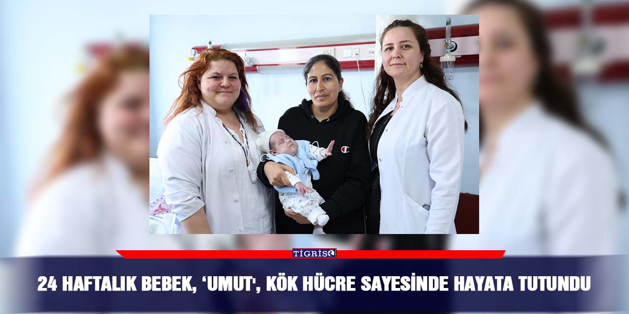 24 haftalık bebek, ‘Umut', kök hücre sayesinde hayata tutundu