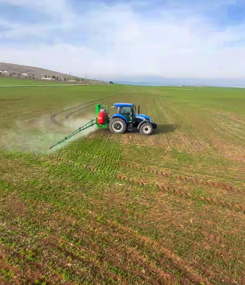 Siirt'te bahar yağmurları çiftçinin yüzünü güldürdü