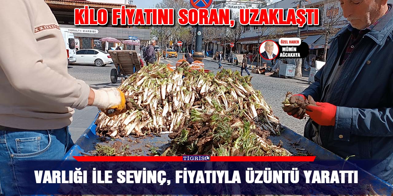 Varlığı ile sevinç, fiyatıyla üzüntü yarattı