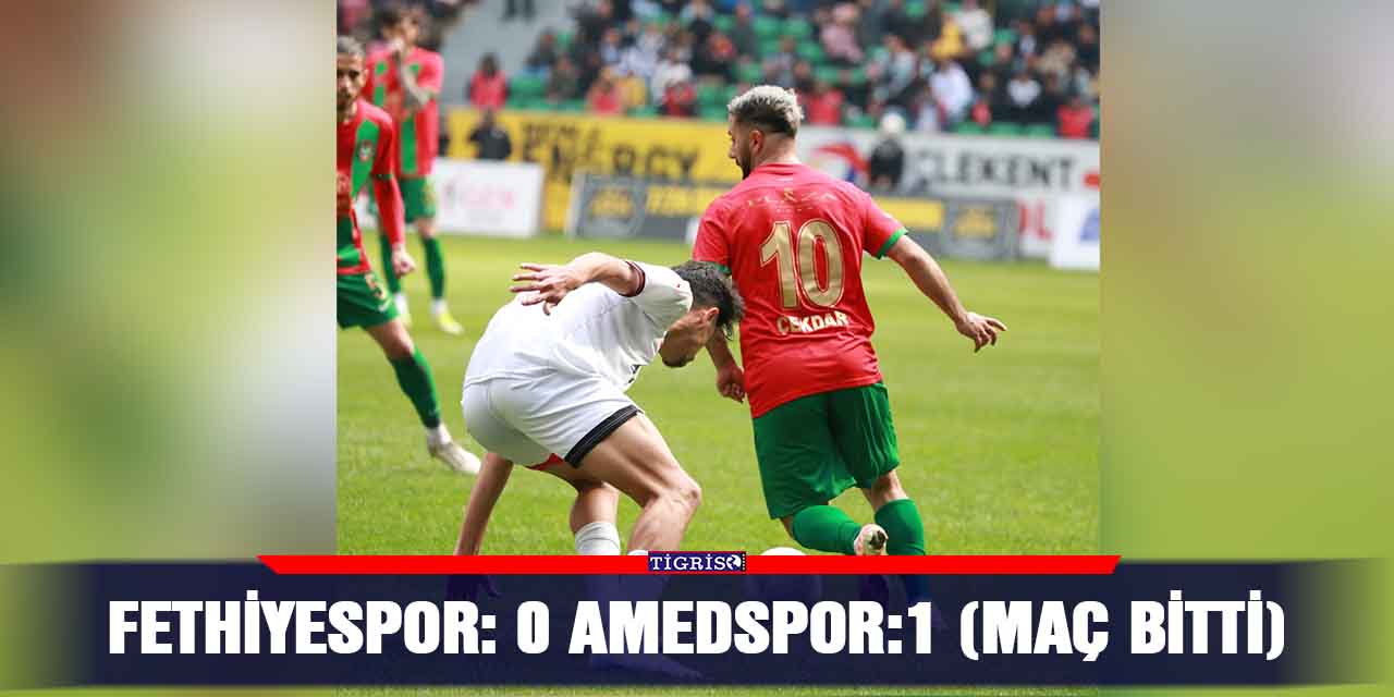 Fethiyespor: 0 Amedspor:1 (Maç bitti)