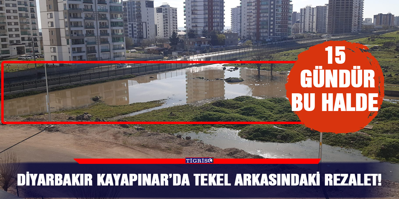 Diyarbakır Kayapınar’da Tekel arkasındaki rezalet!