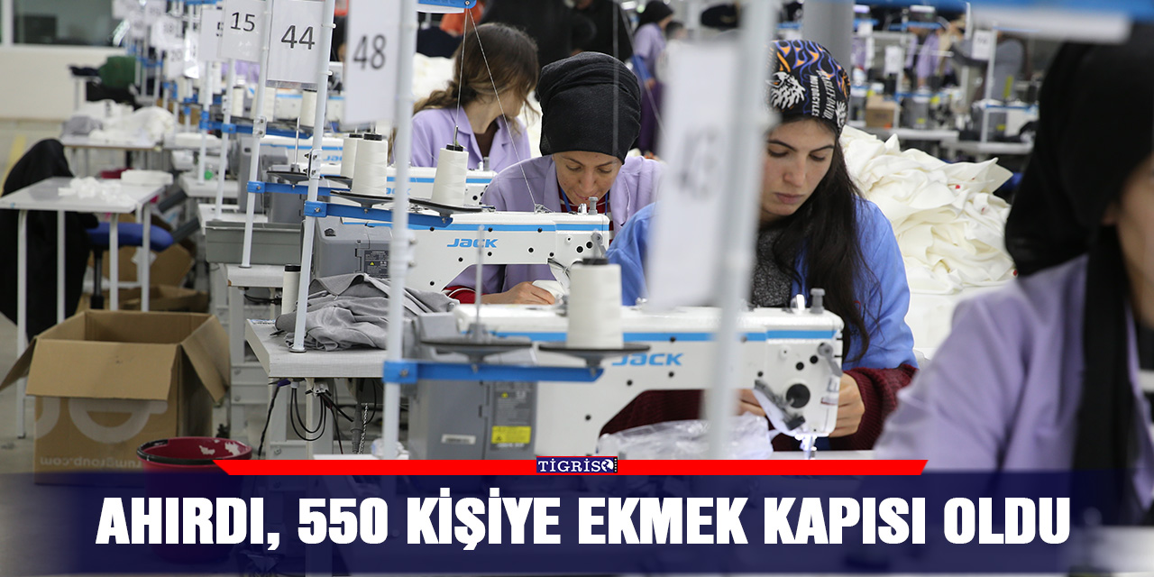 VİDEO - Ahırdı, 550 kişiye ekmek kapısı oldu