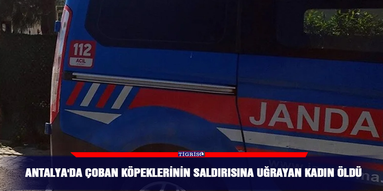 Antalya'da çoban köpeklerinin saldırısına uğrayan kadın öldü
