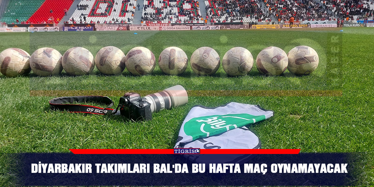Diyarbakır takımları BAL'da bu hafta maç oynamayacak