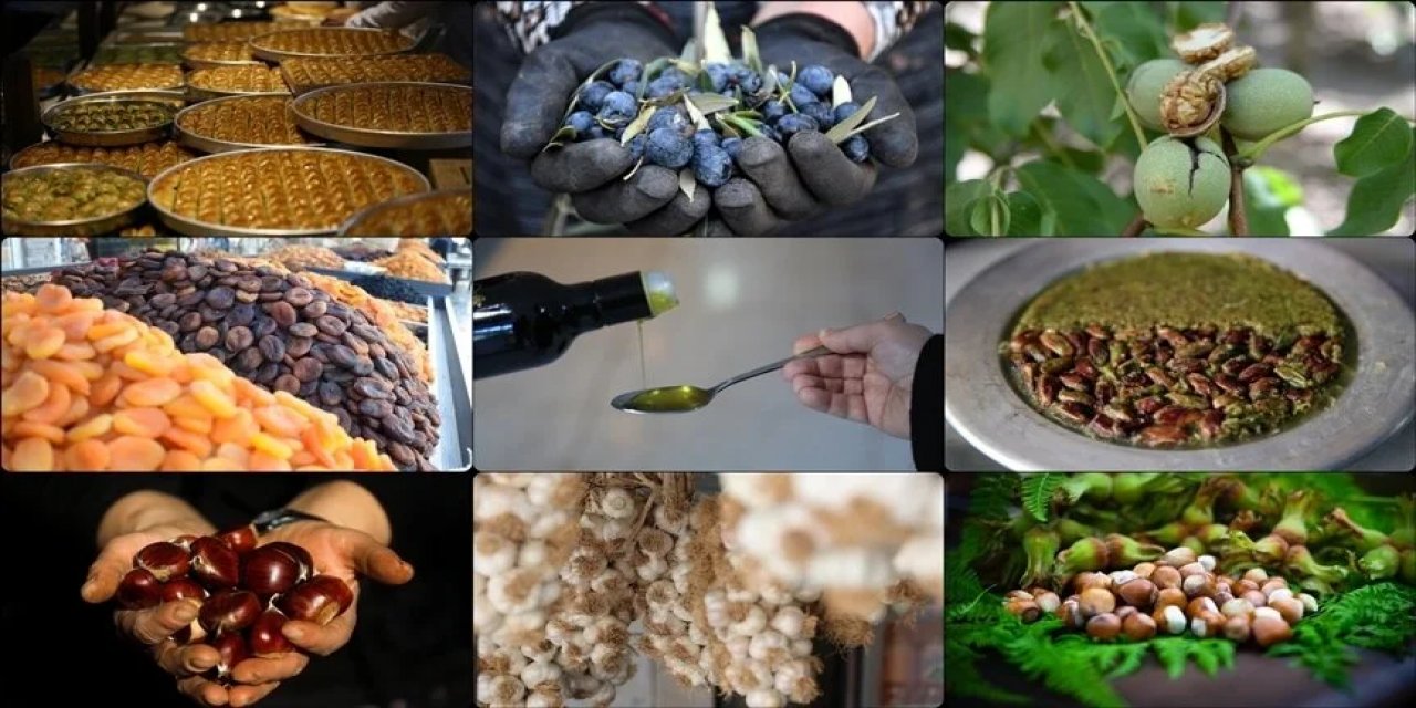 TÜRKPATENT'e geçen yıl 371 ürün için coğrafi işaret başvurusu yapıldı