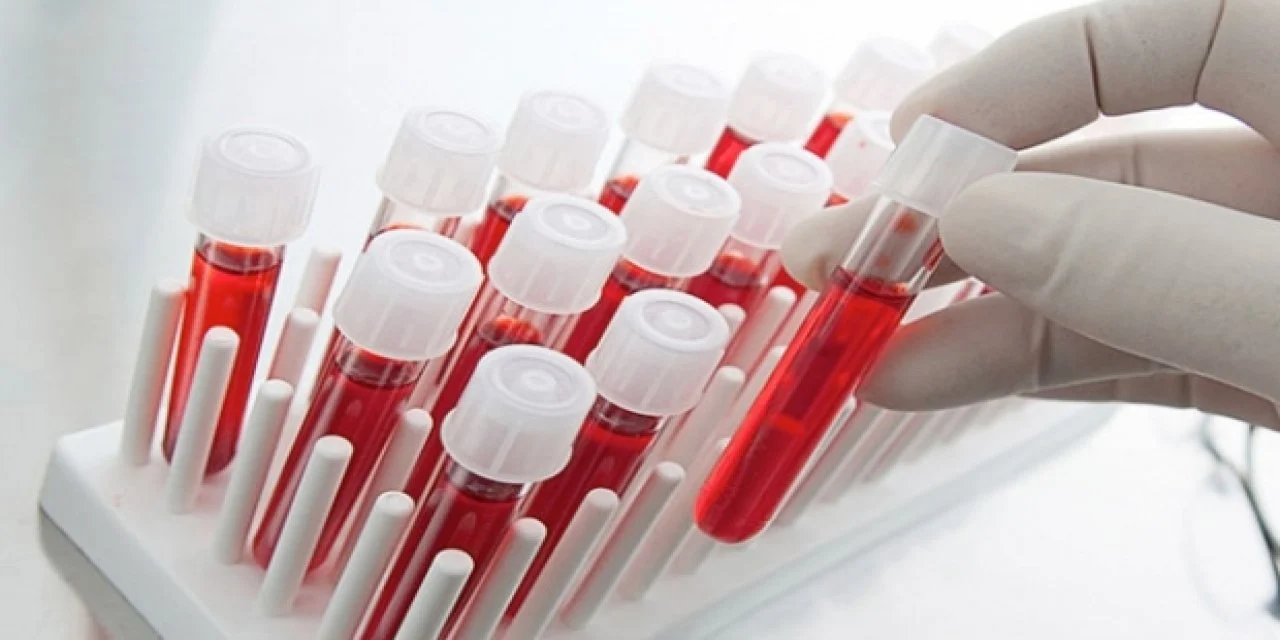 En zeki kan grubu belli oldu!