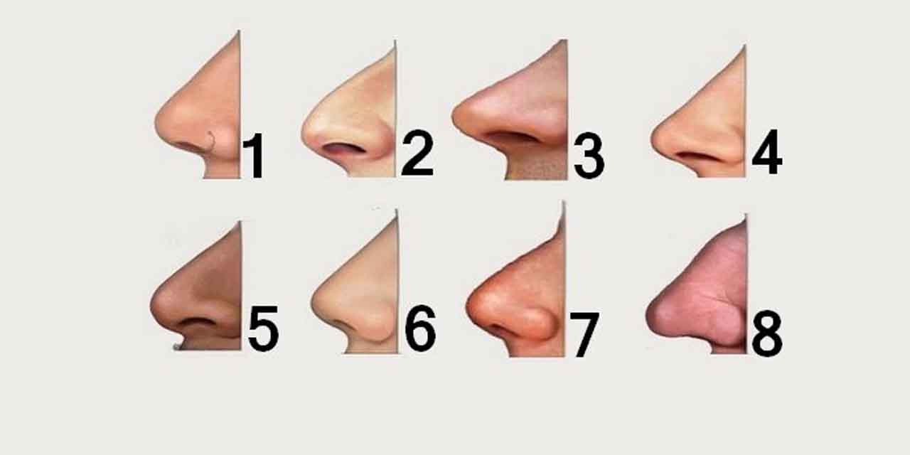 Burun Şekliniz Kişiliğinizi Ele Veriyor... Burun Tipinize Göre Karakter Analizi Yapın!