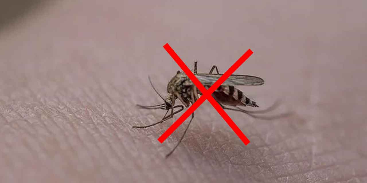 Sivrisinekler'den Kalıcı olarak kurtulun...Doğal Sır İçeren Bu Karışımlarla Yazın Keyfini Çıkarın!