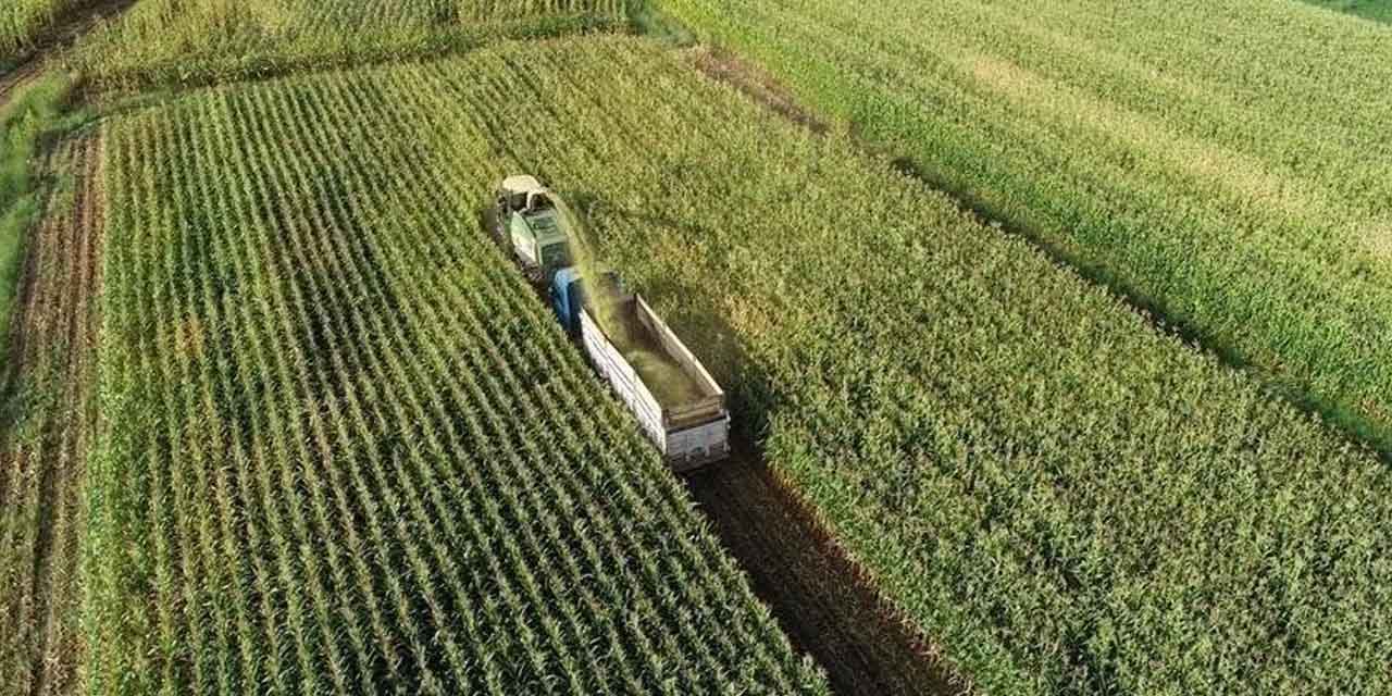 Tarımda çığır açan değişim: Gübre desteğiyle verimde göz alıcı yükseliş!
