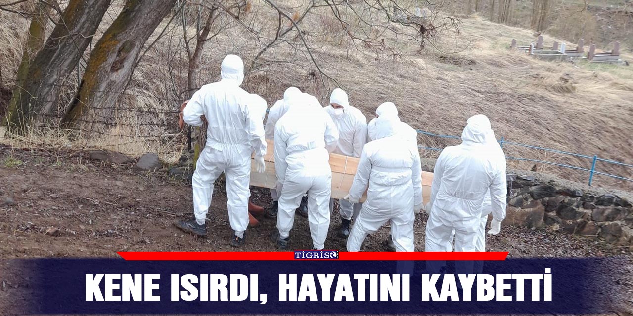 Kene ısırdı, hayatını kaybetti