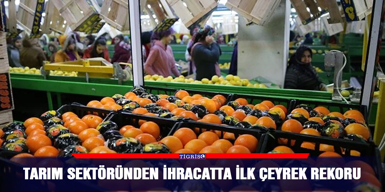 Tarım sektöründen ihracatta ilk çeyrek rekoru