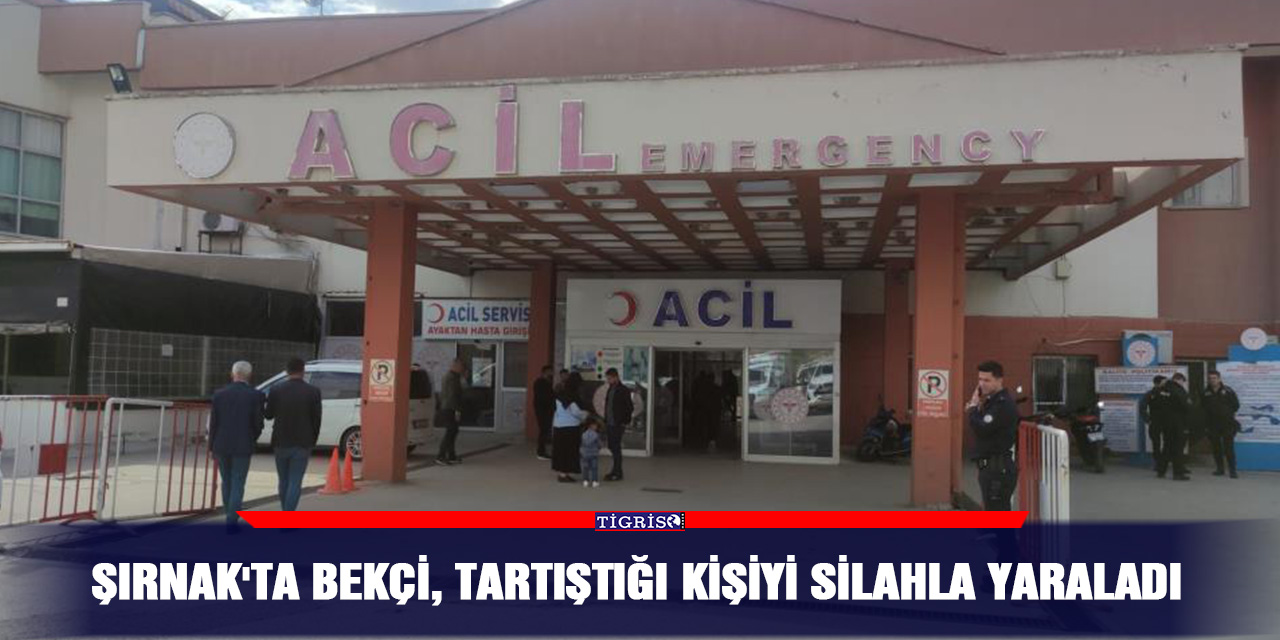 Şırnak'ta bekçi, tartıştığı kişiyi silahla yaraladı