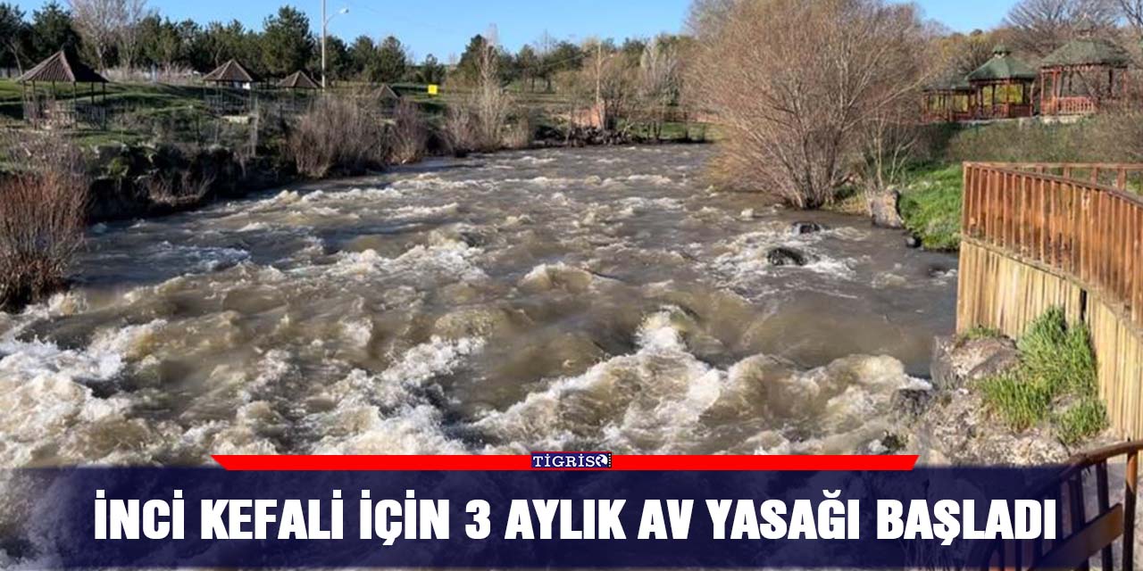 İnci kefali için 3 aylık av yasağı başladı