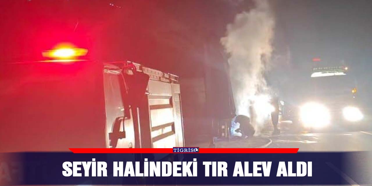 Seyir halindeki TIR alev aldı
