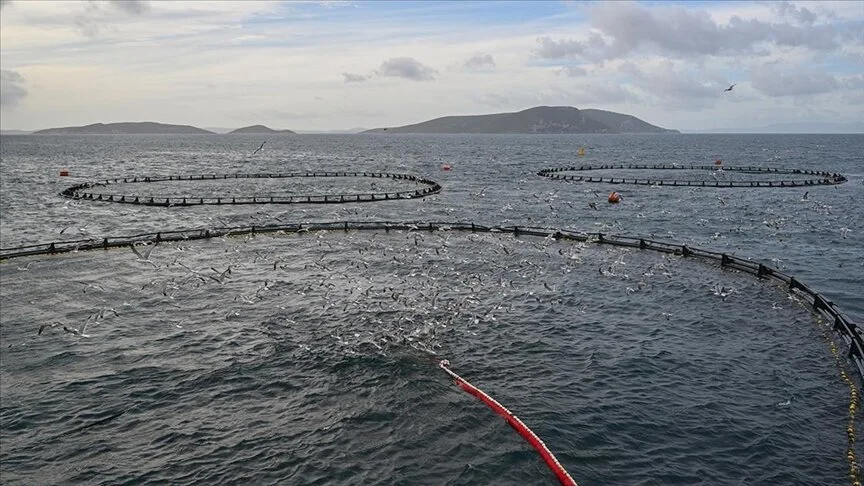 Türkiye'nin su ürünleri ihracatı geçen yıl 1,6 milyar doları aştı