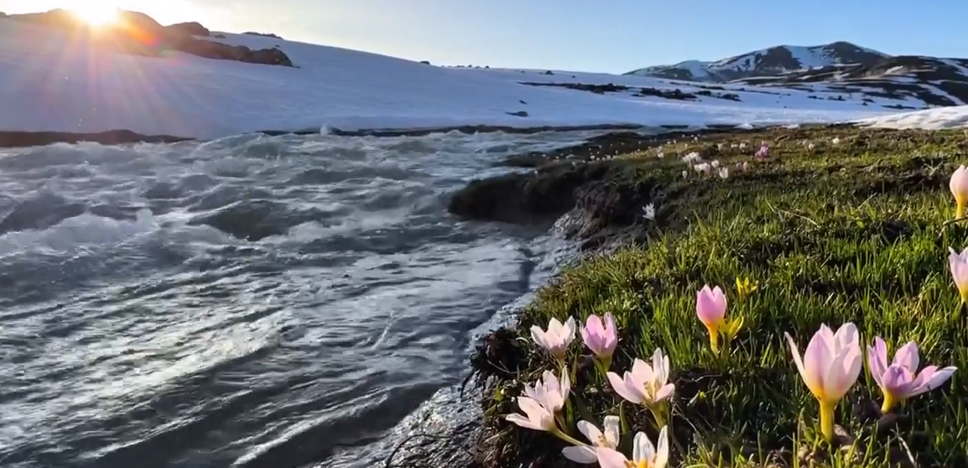 Bingöl'de aynı anda iki mevsimin güzelliği yaşanıyor