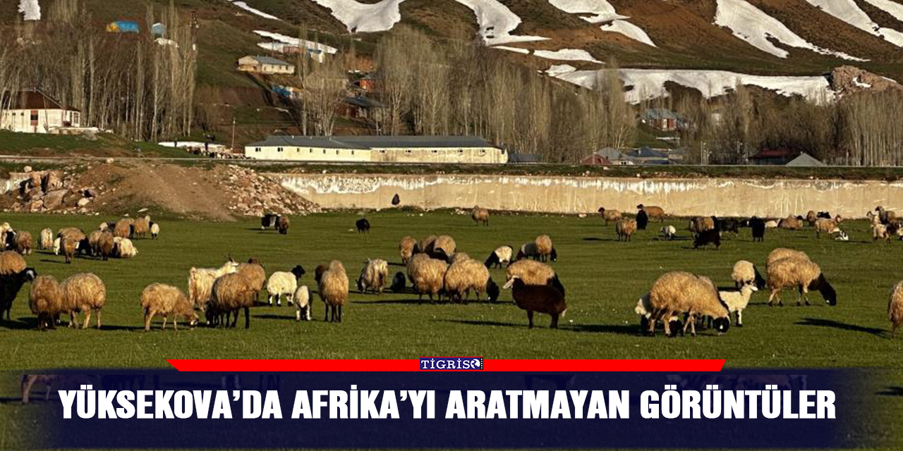 Yüksekova’da Afrika’yı aratmayan görüntüler