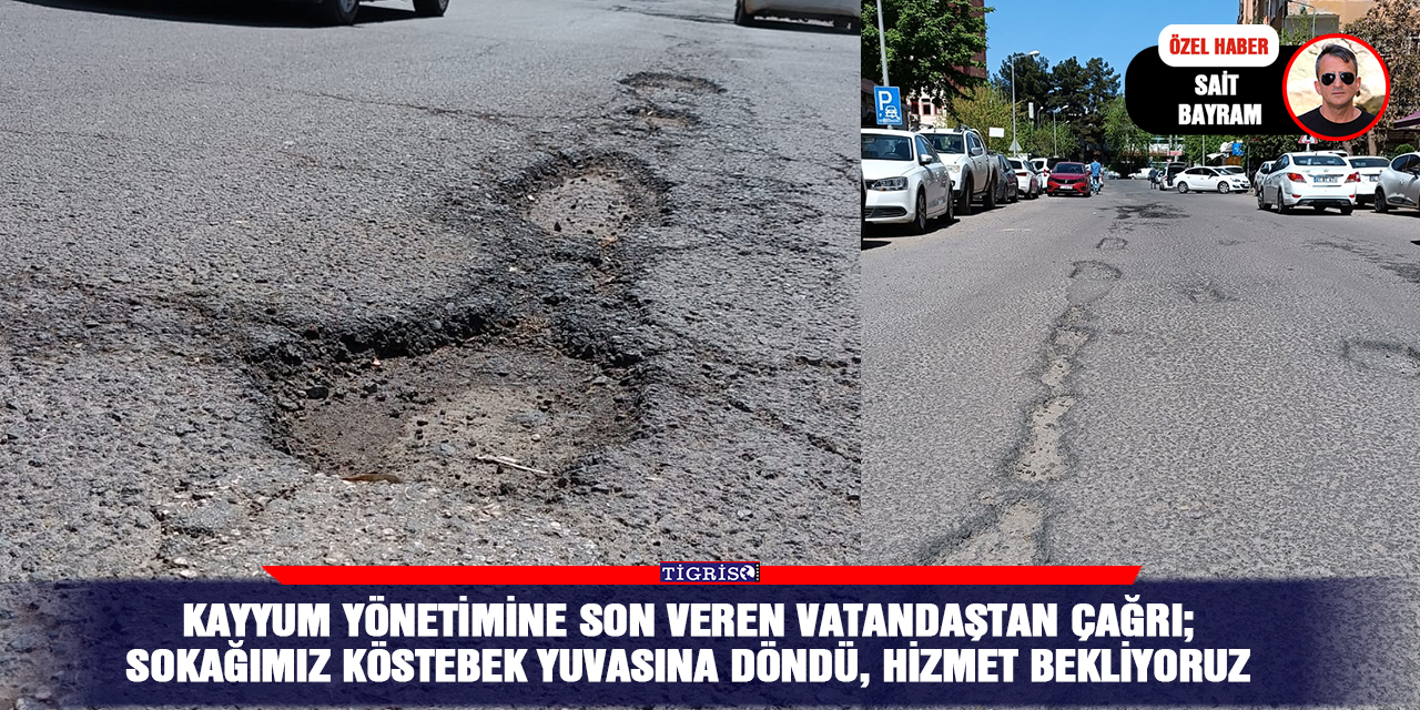 Kayyum yönetimine son veren vatandaştan çağrı; Sokağımız köstebek yuvasına döndü, hizmet bekliyoruz