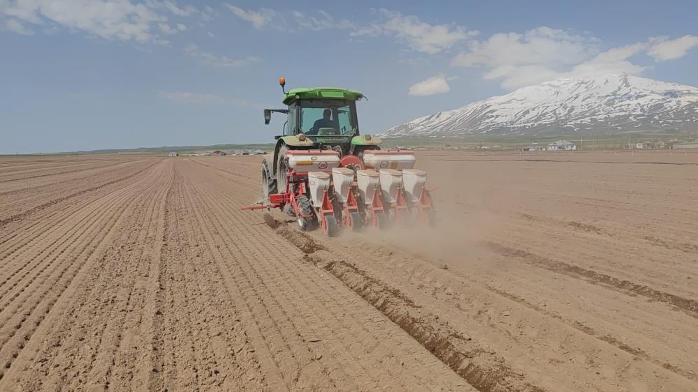 Adilcevaz’da şeker pancarı ekimine başlandı
