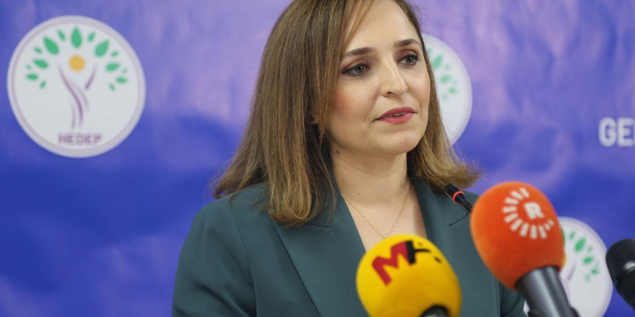 Doğan’dan Mardin ve Diyarbakır’a müfettiş tepkisi