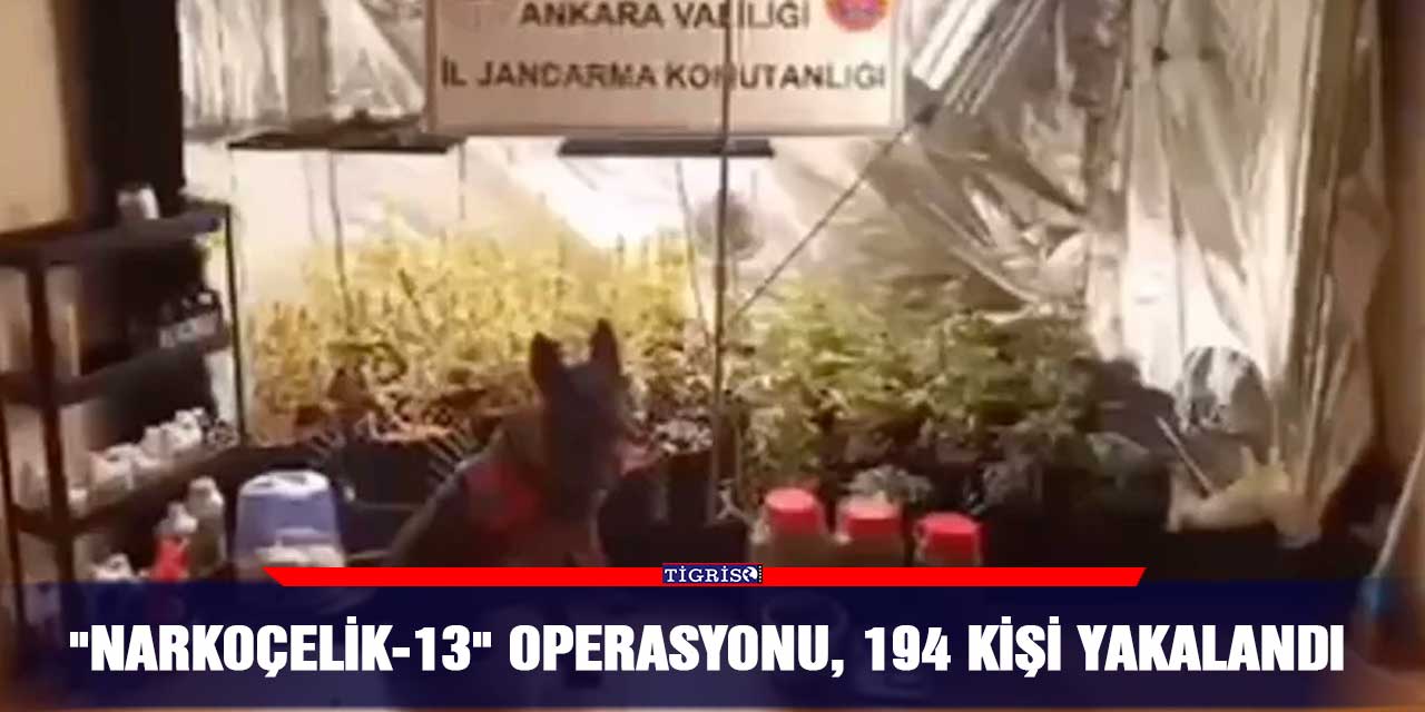 VİDEO - "Narkoçelik-13" operasyonu, 194 kişi yakalandı