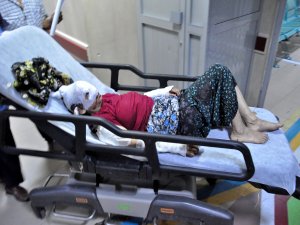 Yaz ortasında kurtlar düze indi