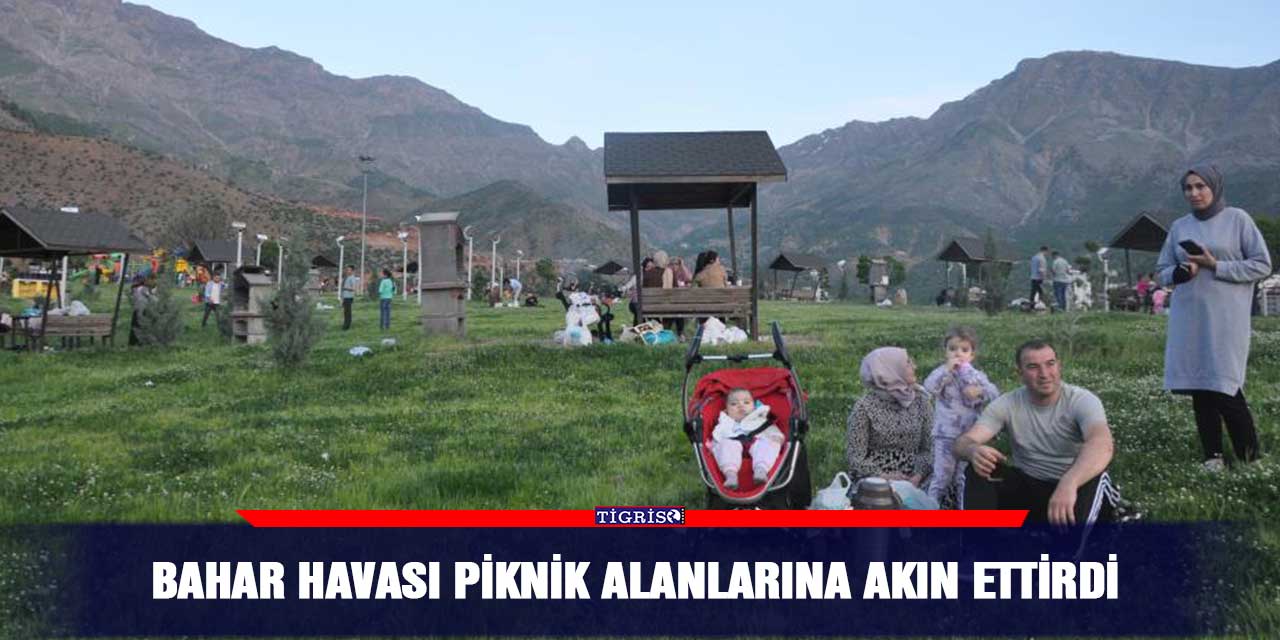 Bahar havası piknik alanlarına akın ettirdi