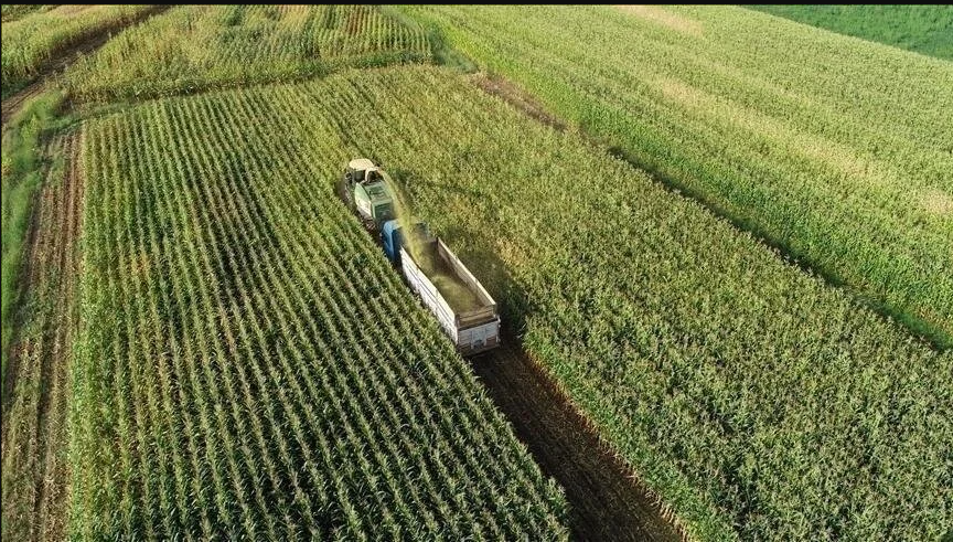 Gübrelerin dağıtım, lisans ve tescil belgelerine ilişkin esaslar düzenlendi