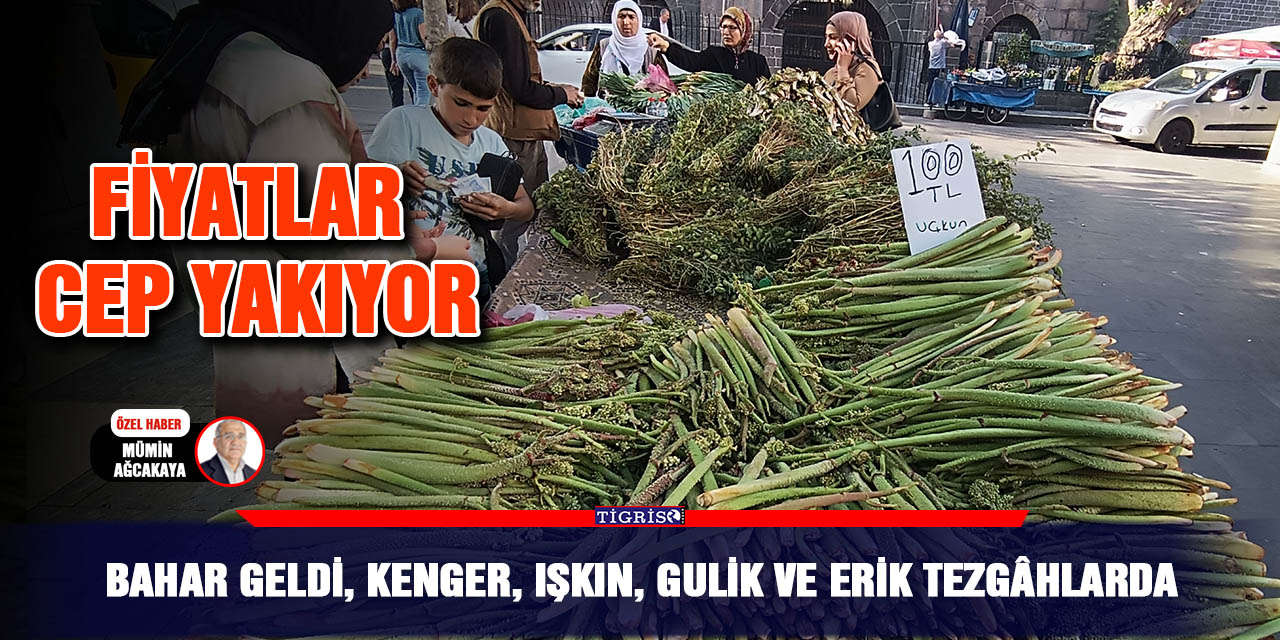 Bahar geldi, Kenger, Işkın, Gulik ve Erik tezgâhlarda