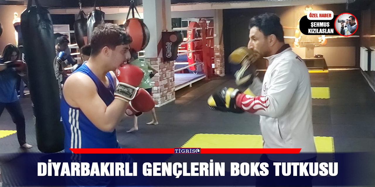 VİDEO - Diyarbakırlı gençlerin boks tutkusu