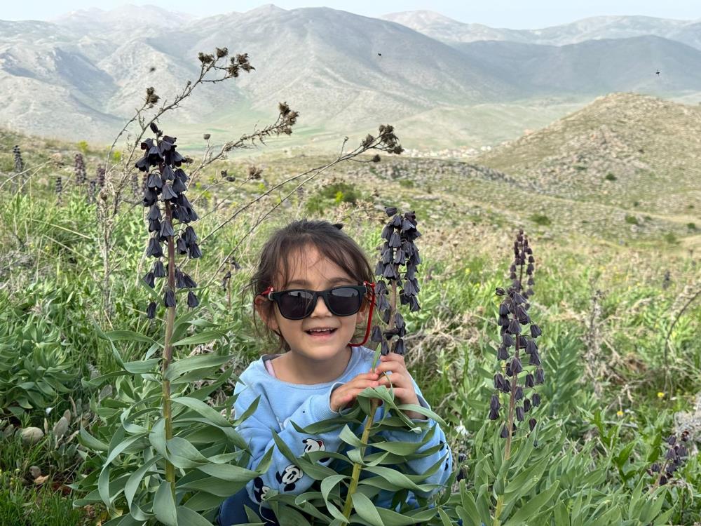 Doğanşehir'de dağ sümbülleri çiçek açtı