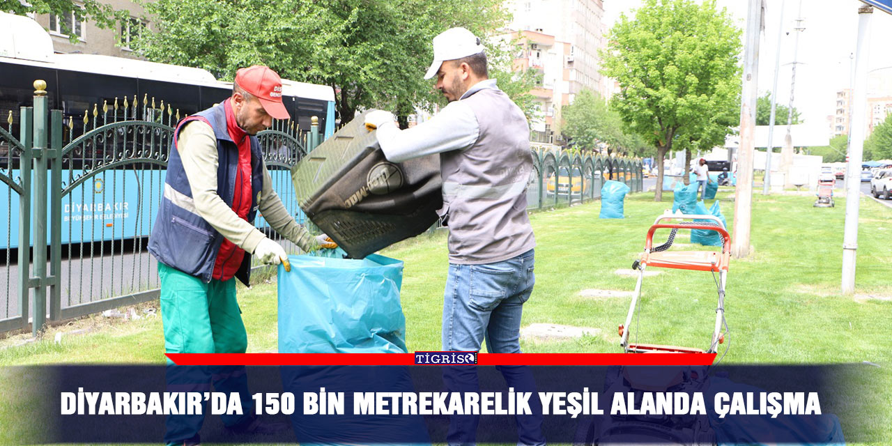 Diyarbakır’da 150 bin metrekarelik yeşil alanda çalışma