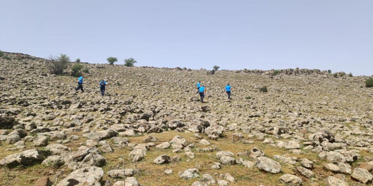 Diyarbakır’da kayıp çoban hala bulunamadı