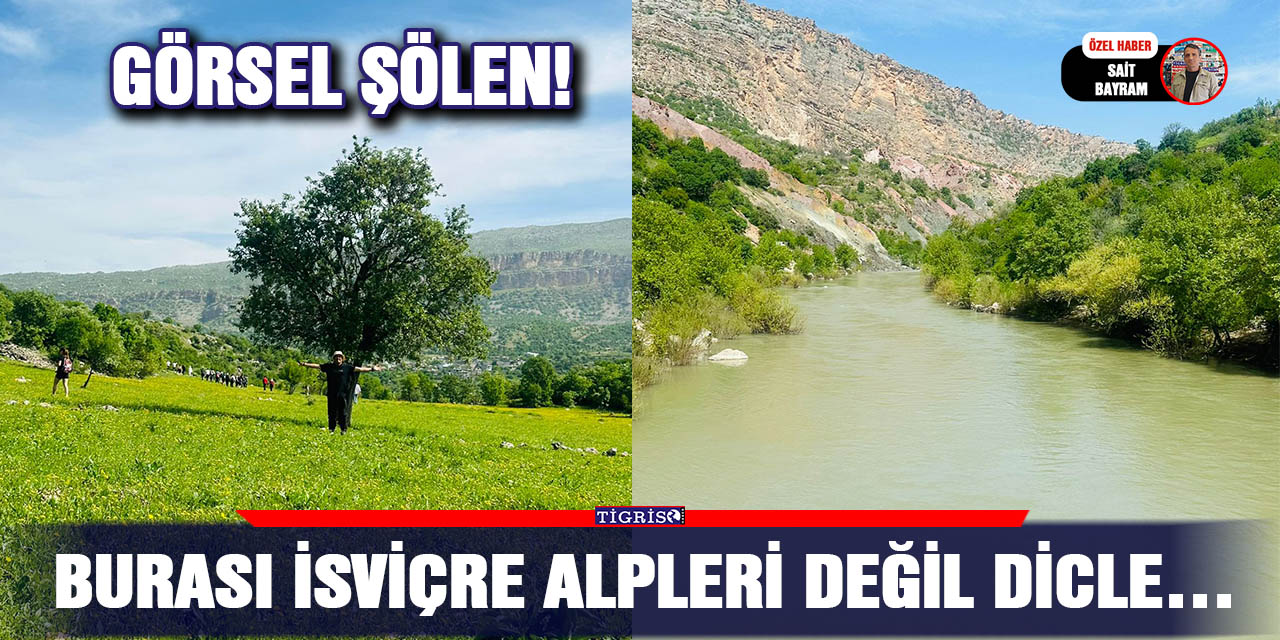 VİDEO - Burası İsviçre Alpleri değil Dicle…