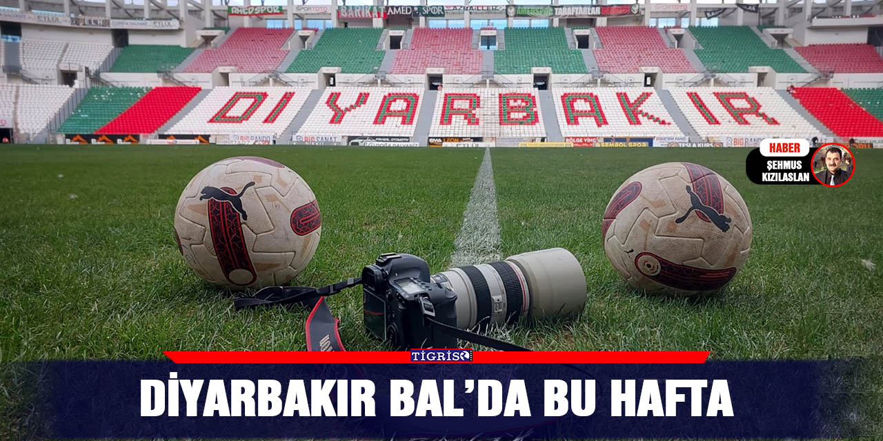 Diyarbakır BAL’da bu hafta