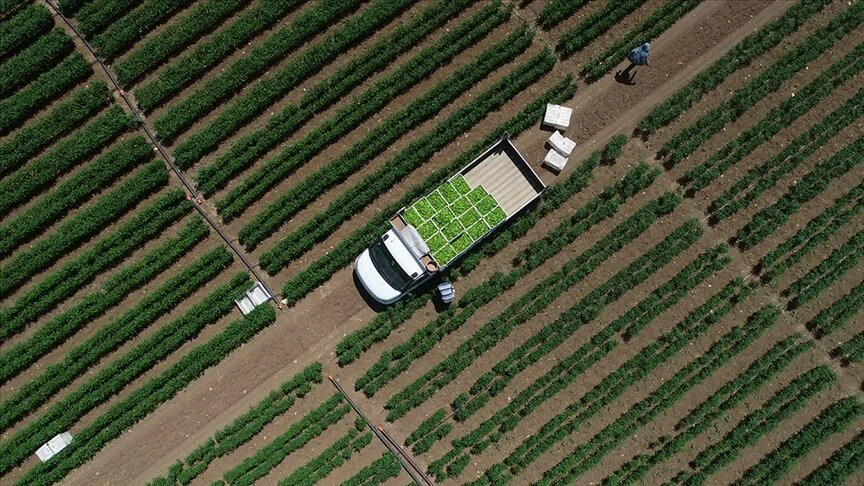 Çiftçilere 4,4 milyar lira tarımsal destekleme ödeniyor