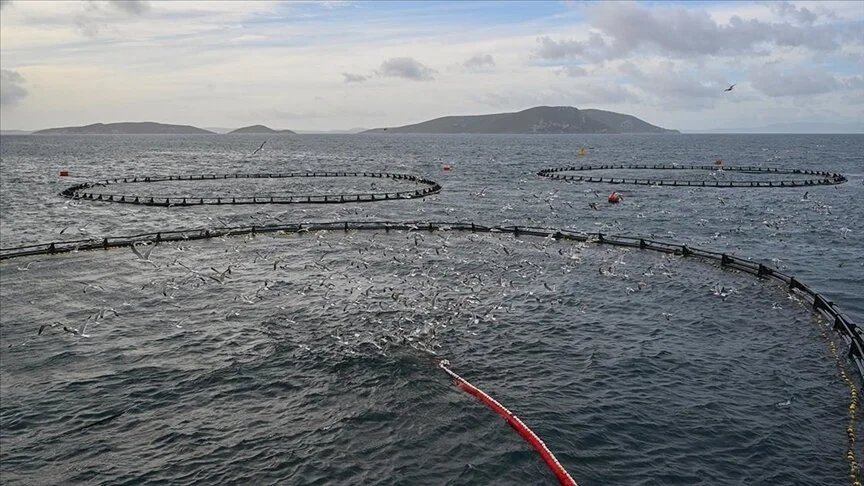 Su ürünleri ihracatında hedef 2 milyar dolar