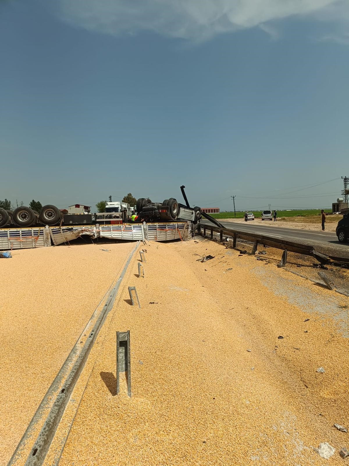 Mısır yüklü tır devrildi