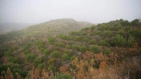 Ormanlara giriş yasaklandı!