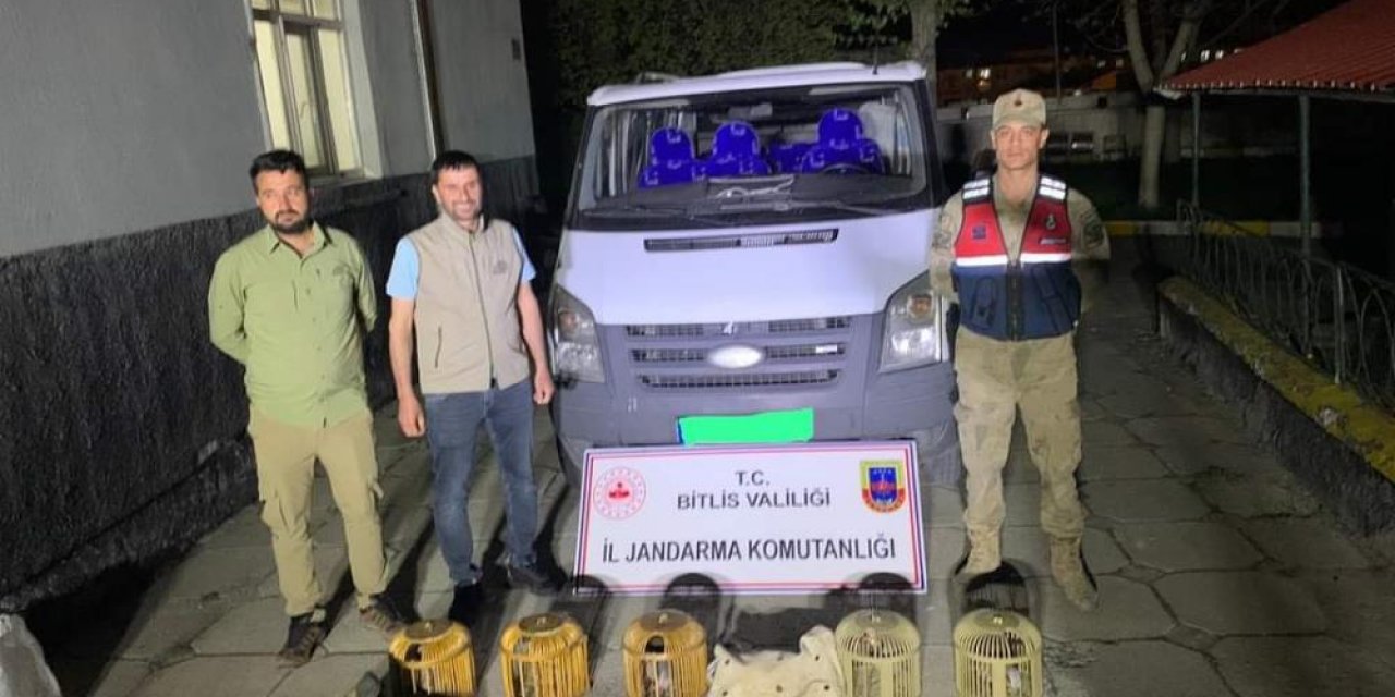 Keklik avlayan 2 kişiye 63 bin lira para cezası