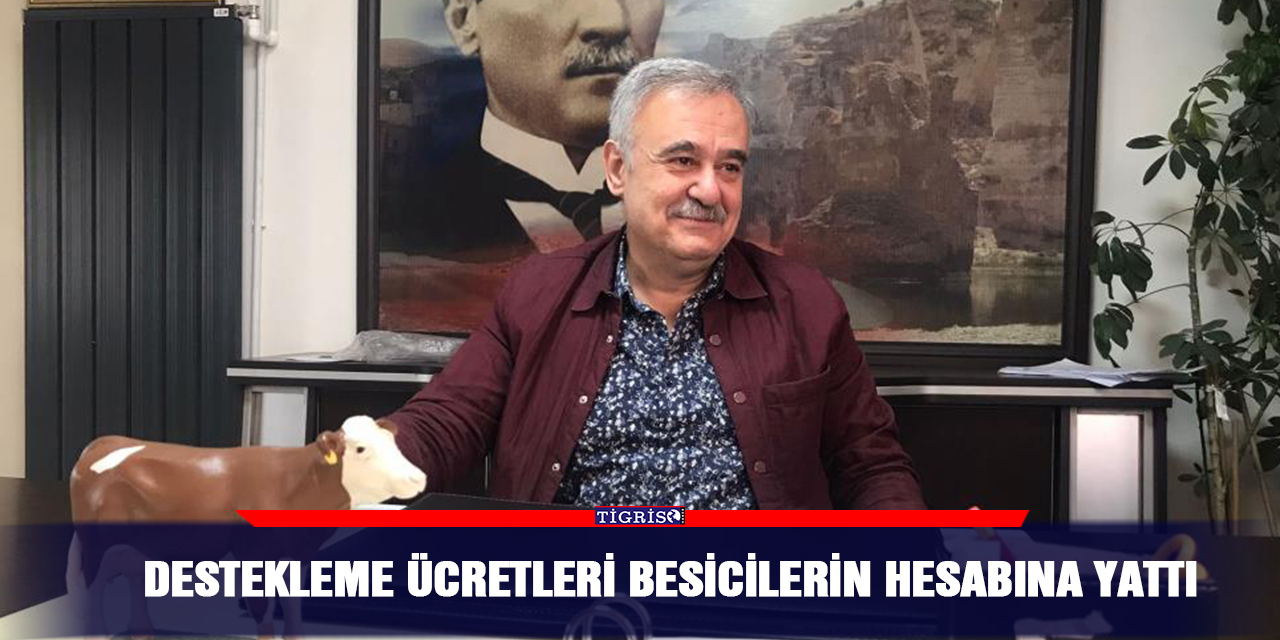 Destekleme ücretleri besicilerin hesabına yattı