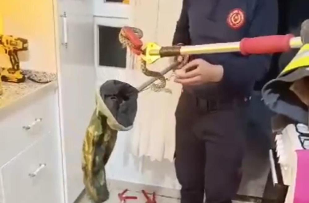 Mutfağa giren yılanı itfaiye ekipleri yakaladı