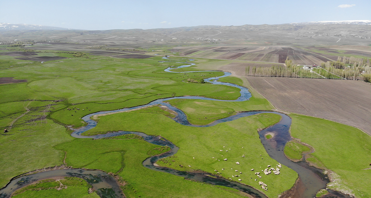Kars’taki mendereslerde bahar güzelliği