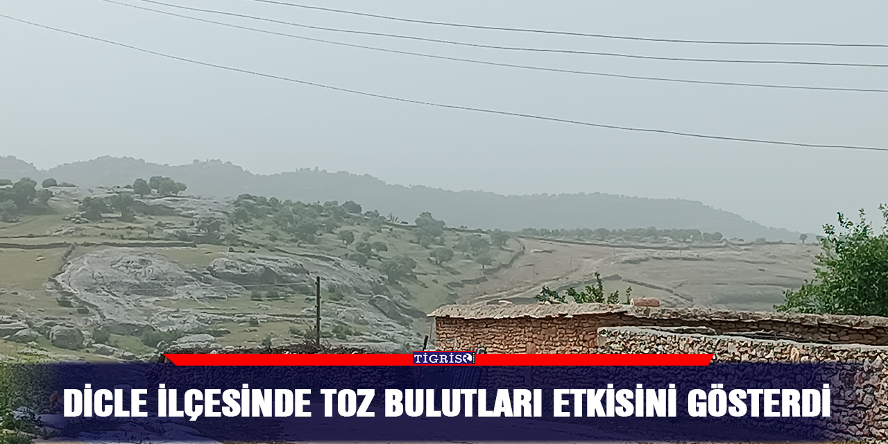 Dicle ilçesinde toz bulutları etkisini gösterdi