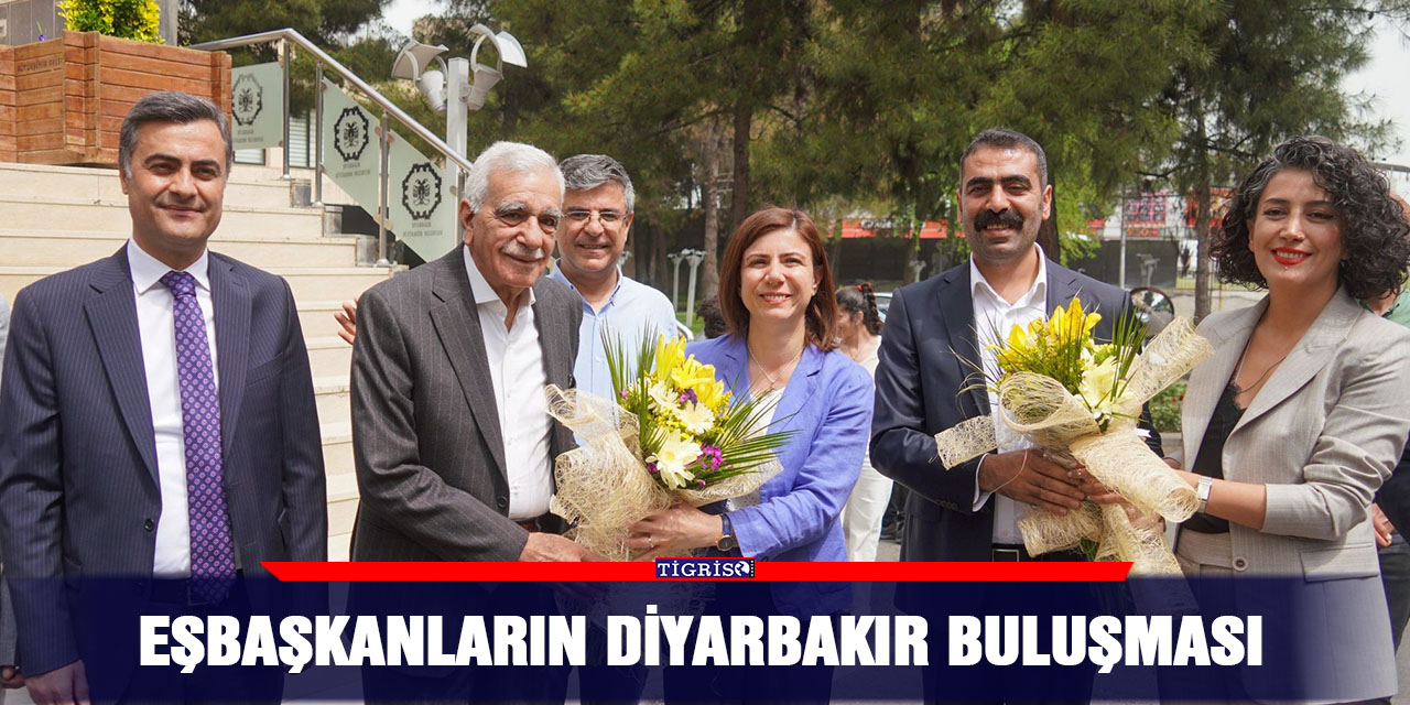 Eşbaşkanların Diyarbakır buluşması
