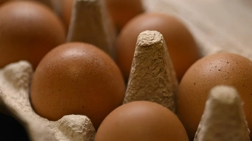 Yumurta fiyatları "Mayıs çukuru"na yuvarlandı