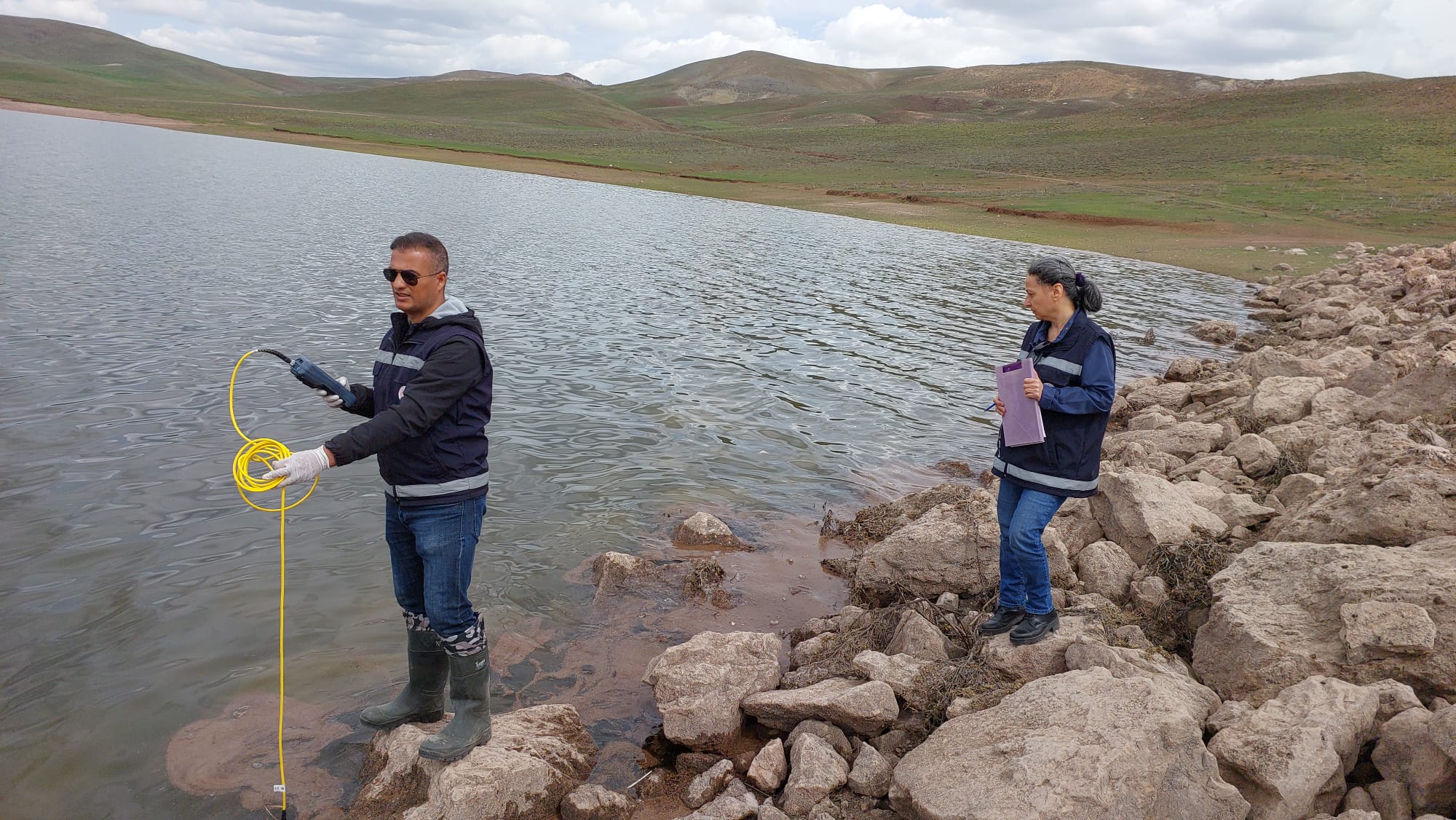 Van'daki balık ölümleri araştırılıyor