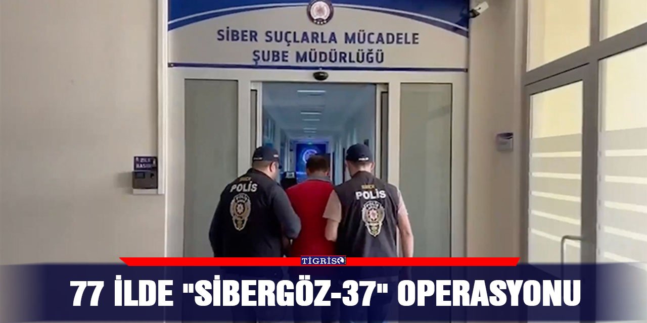 77 ilde "Sibergöz-37" operasyonu