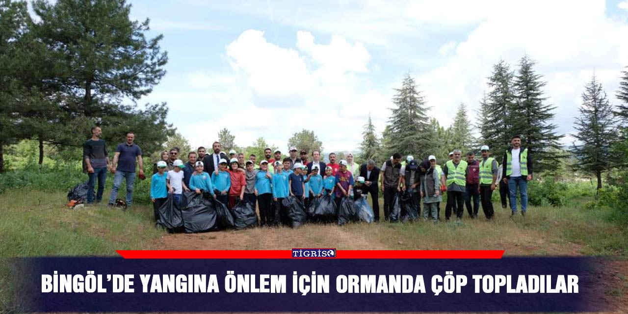 Bingöl’de yangına önlem için ormanda çöp topladılar