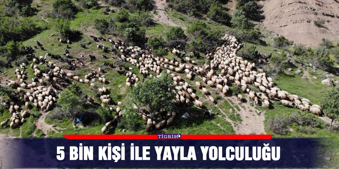 5 bin kişi ile yayla yolculuğu